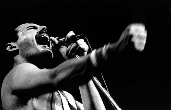 Freddie Mercury como desactivar descarga de fotos de whatsapp