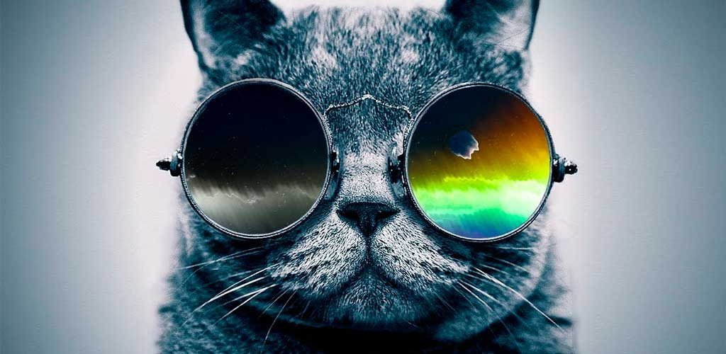 cool
