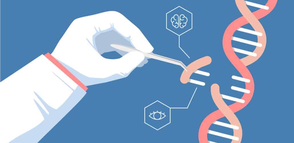 crispr biología y genética
