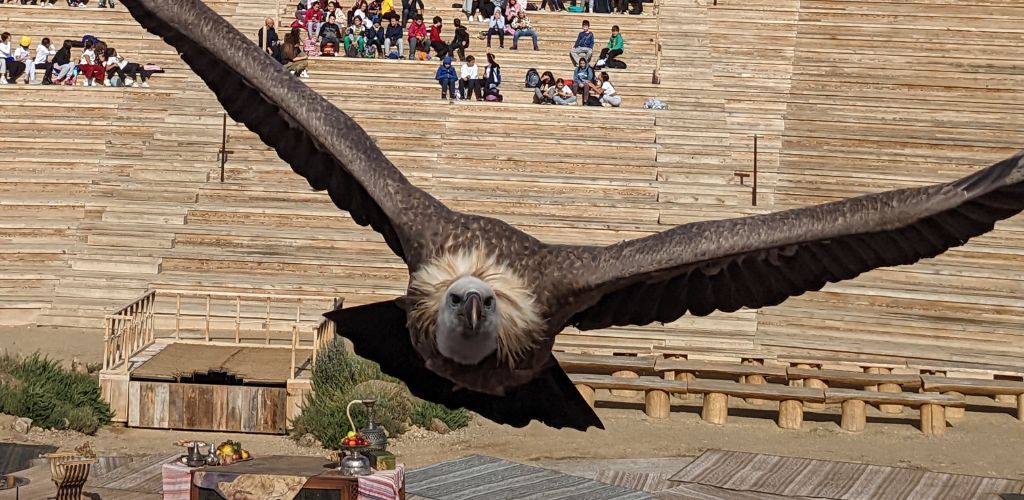 puy du fou aves