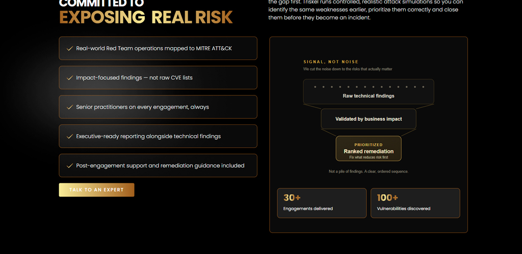 Triskel Security